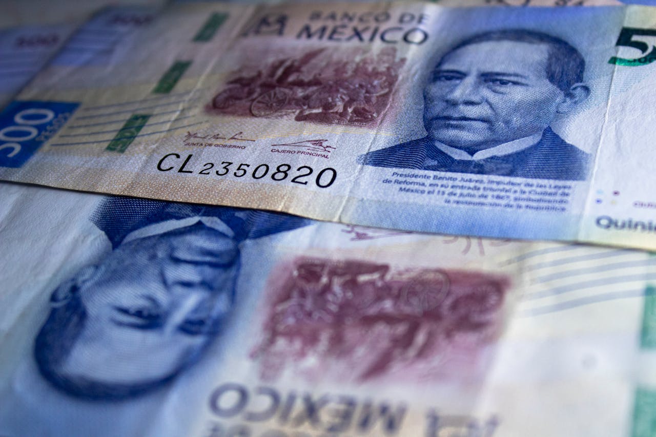 2025: Paquete Económico, expectativas de crecimiento y recaudación